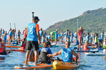 csm_leo_paddle_2020_1_e69d48aa5b