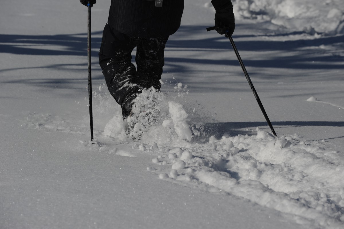 Snowshoe trekking with the Puy Mary guides