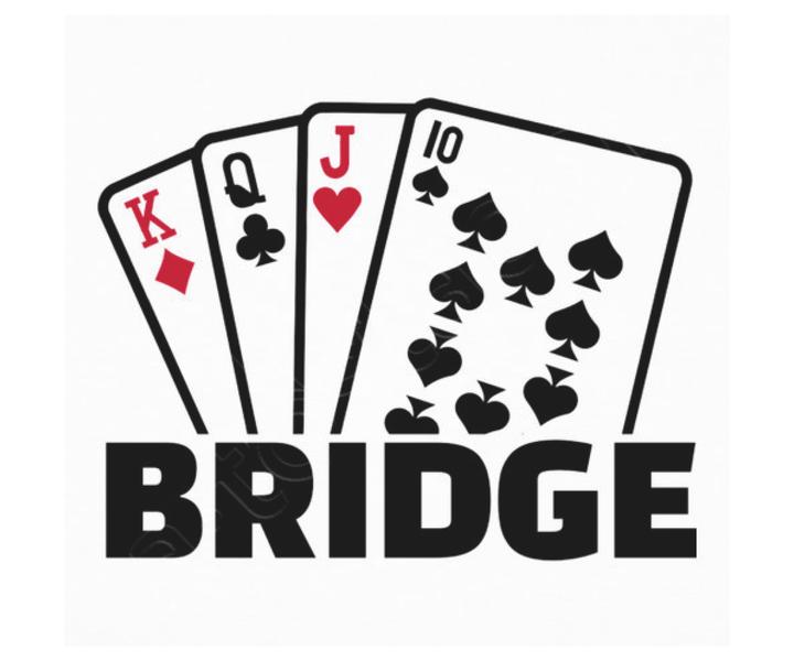 Divonne Bridge Club_Divonne-les-Bains