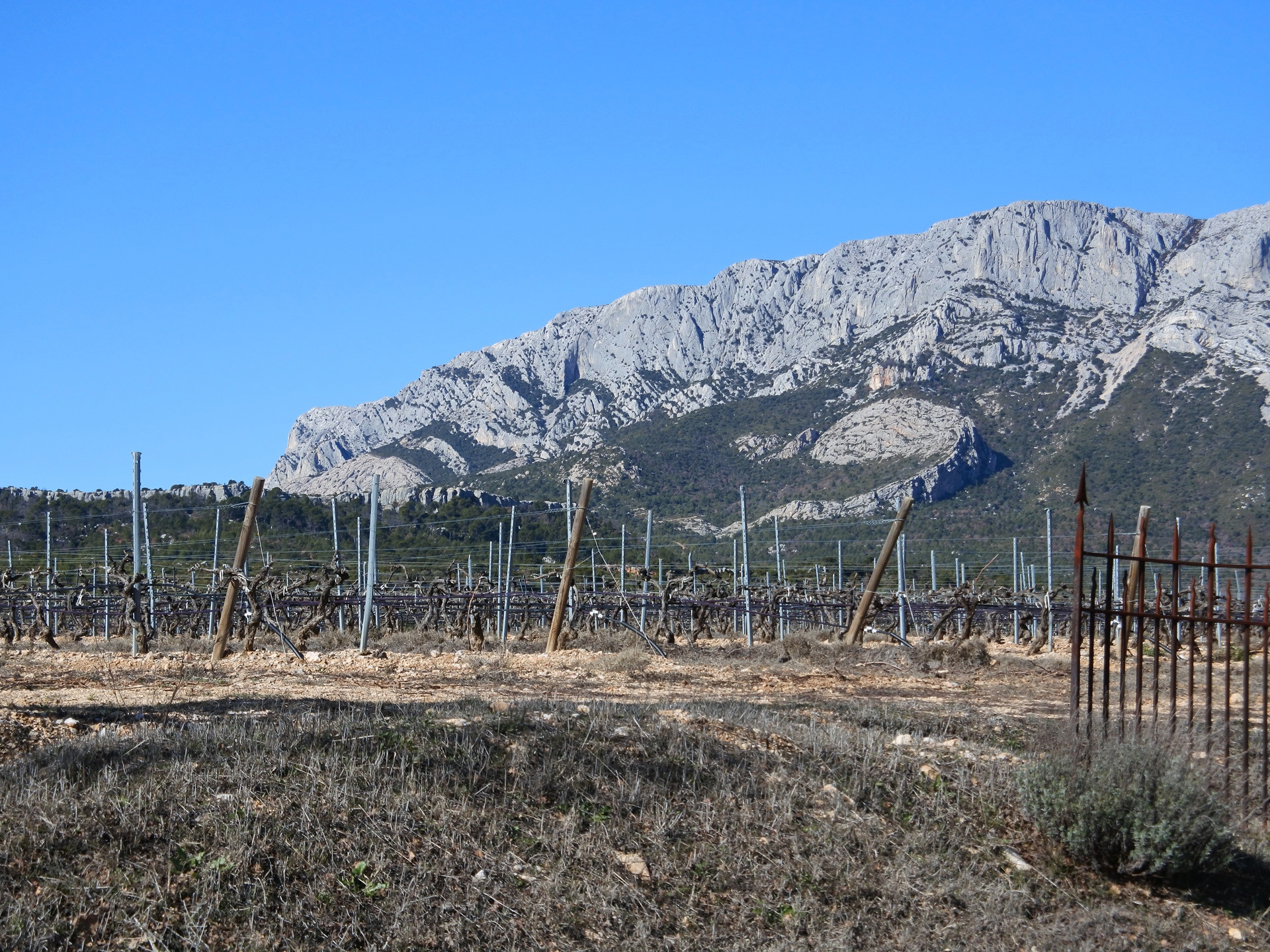 Le vignoble de Ste Victoire, sous l'oeil de Cézanne