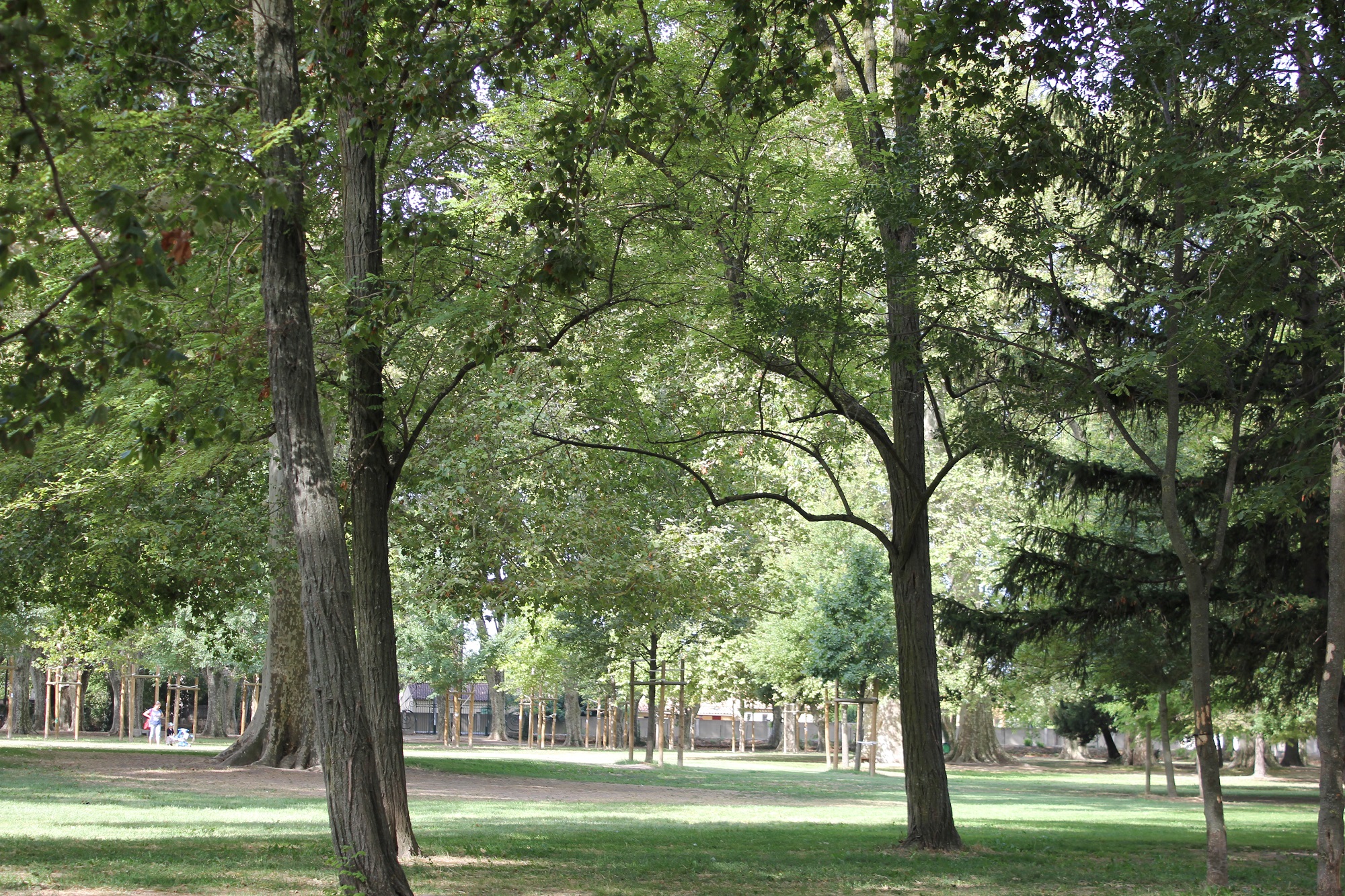 Parc du château, Saint-Andiol - photo 4