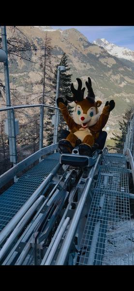 Luge 4 saisons - Norma Loops_La Norma