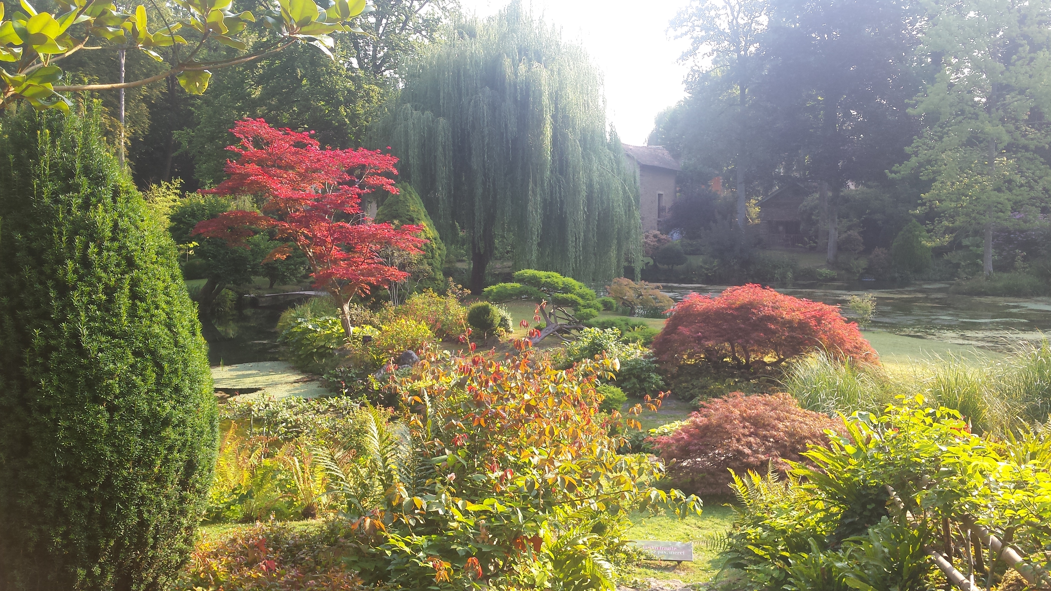 Jardin Japonais