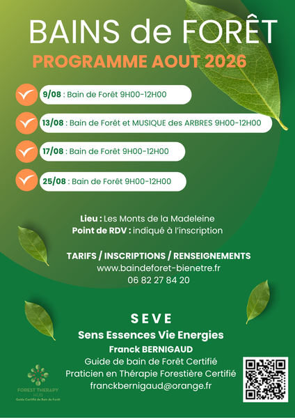 Bain de forêt_Renaison
