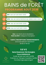 Bain de forêt_Renaison
