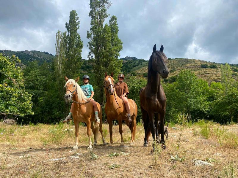 Cabane la Châtaigne_La Souche