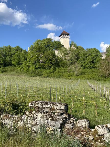 Circuit de randonnée pédestre : Le tour de Groslée_Groslée-Saint-Benoit