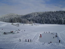 Patinage lac Genin