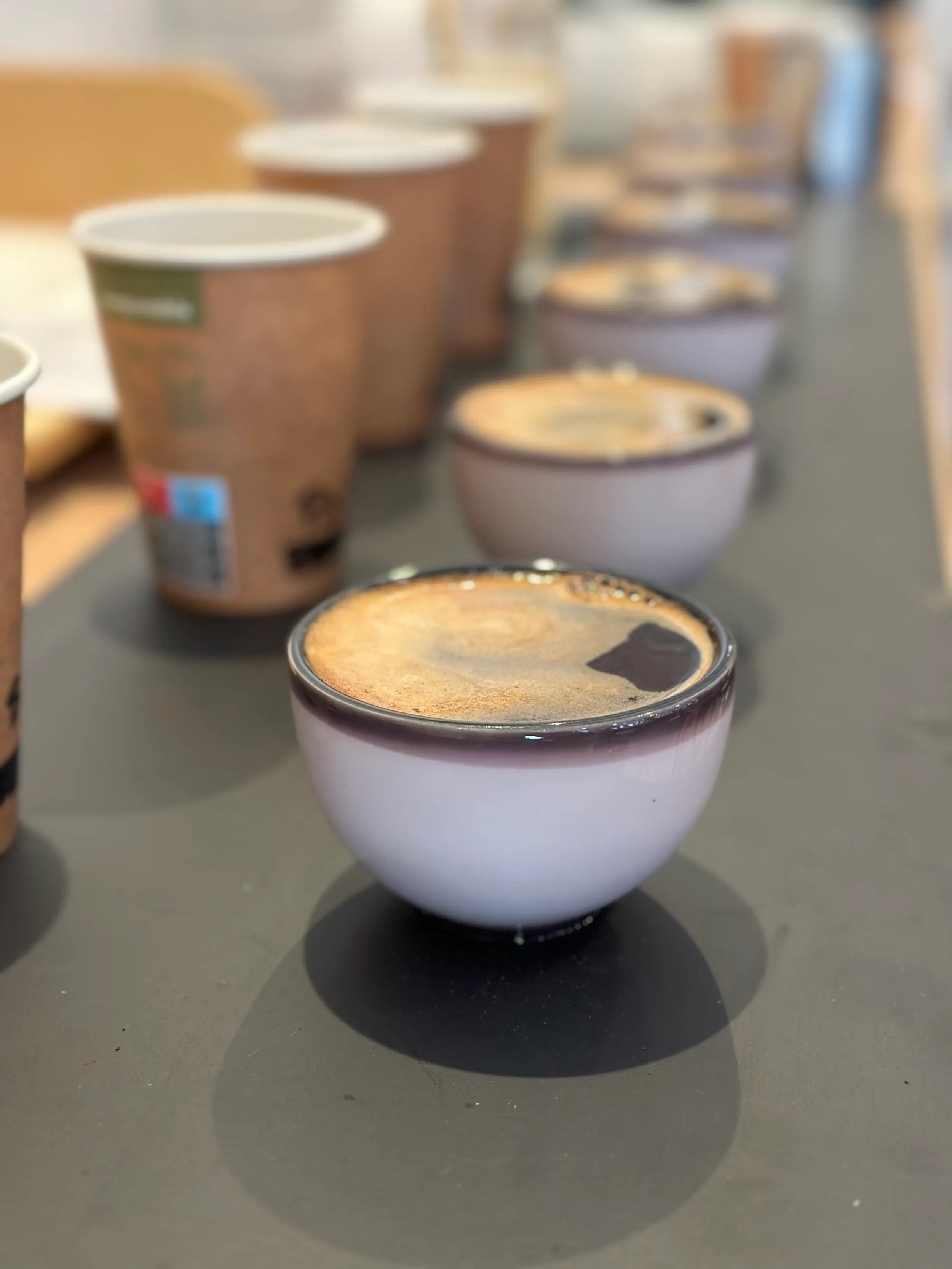L'Automnal gourmand - Découverte du cupping café