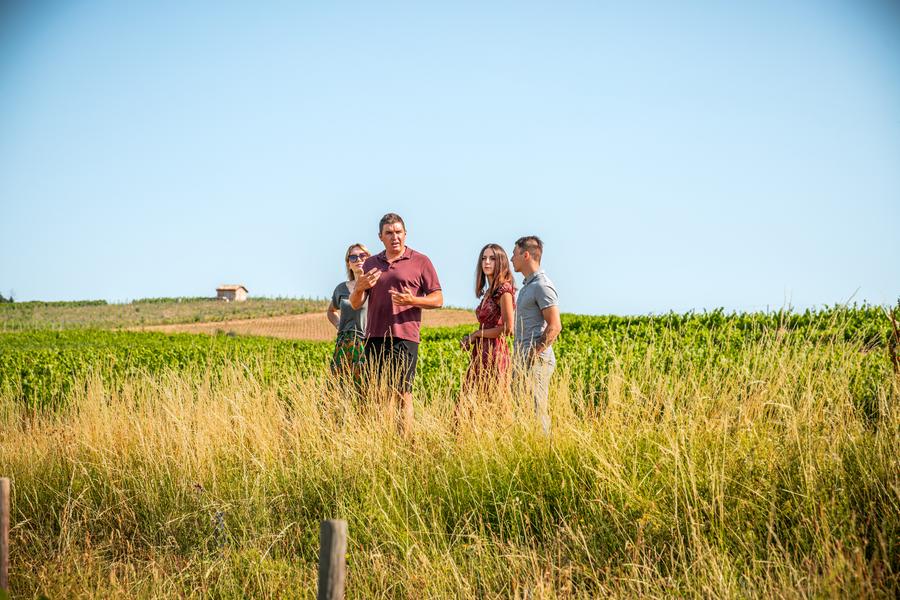 l'explication dans les vignes