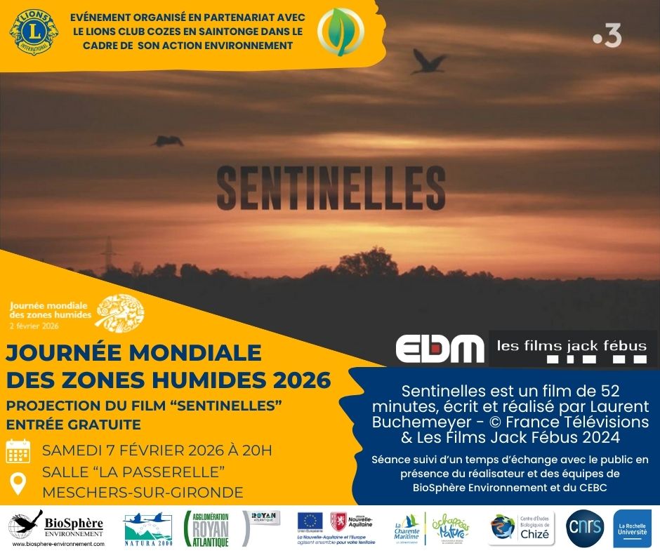 Projection "Sentinelles"