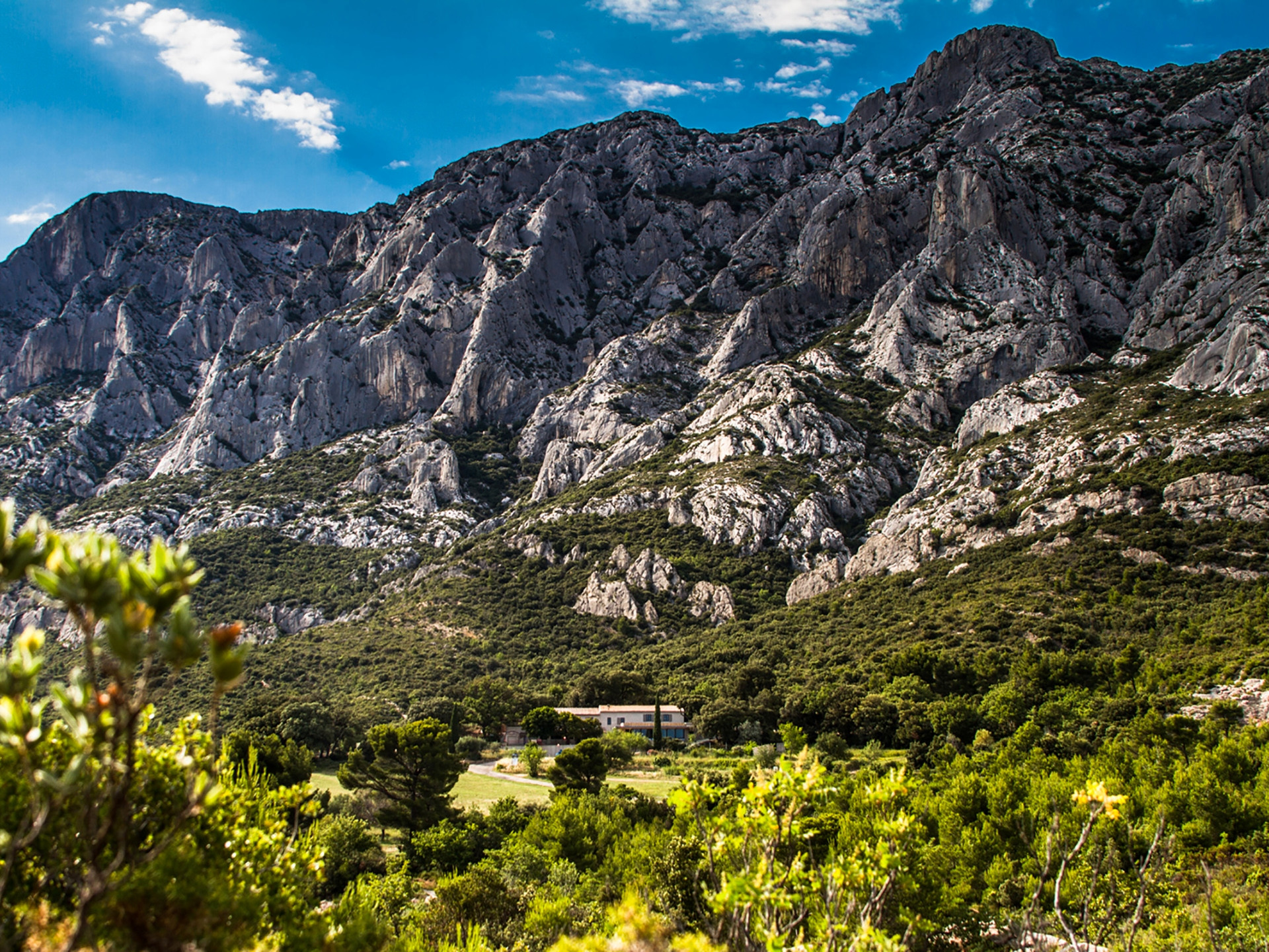 Le relais de Saint-Ser, Puyloubier - photo 5