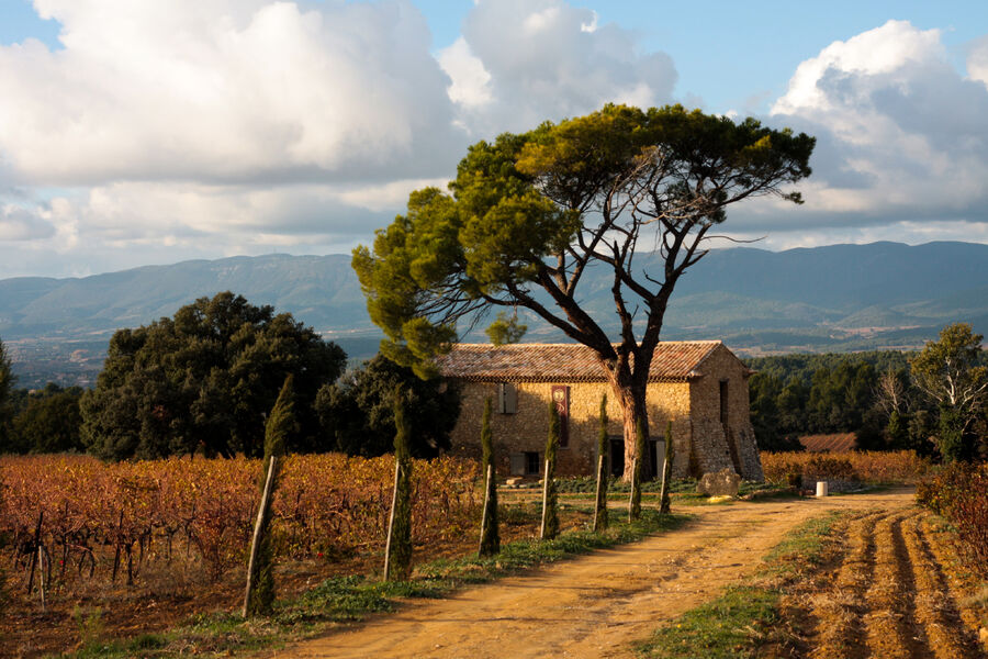 Domaine Les Perpetus