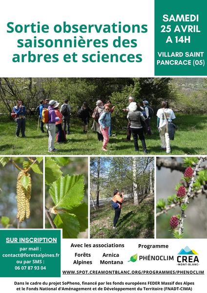 Sortie observations saisonnières des arbres et des sciences