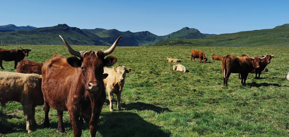 Séjour pour les accompagnants des cyclistes