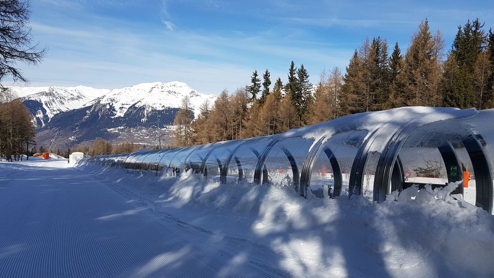 Tapis des Petits Loups