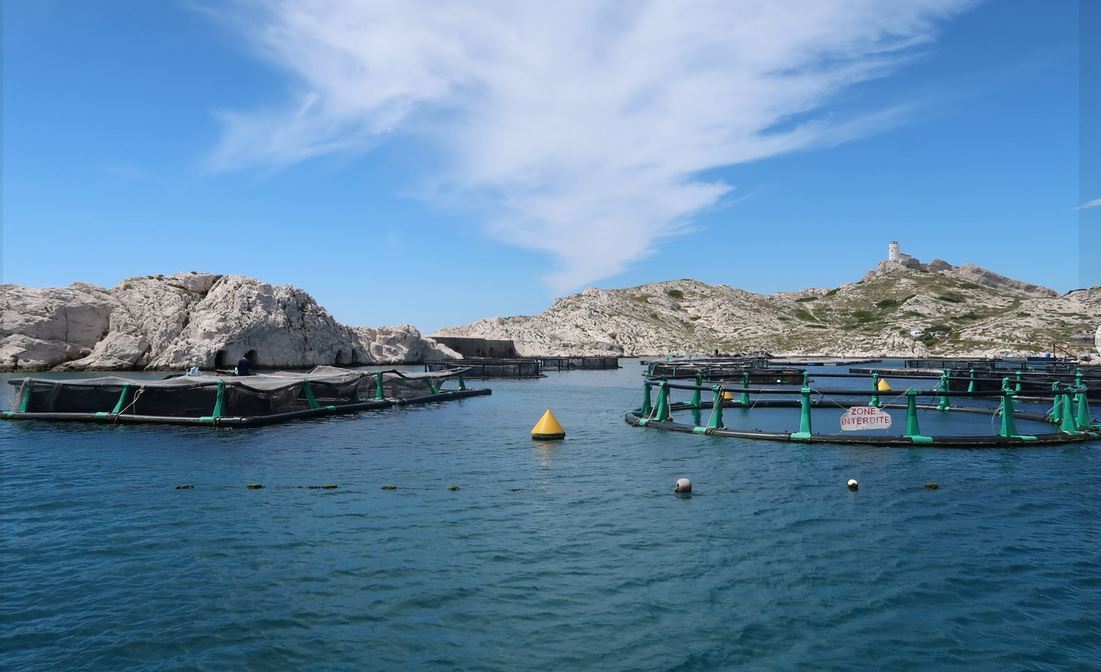 Ferme aquacole Marseille