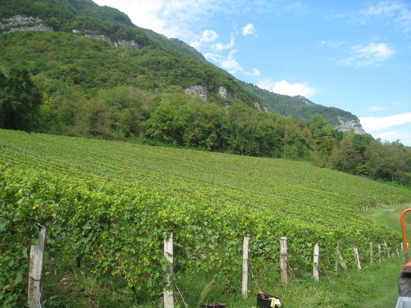 Domaine Grisard Jean-Pierre