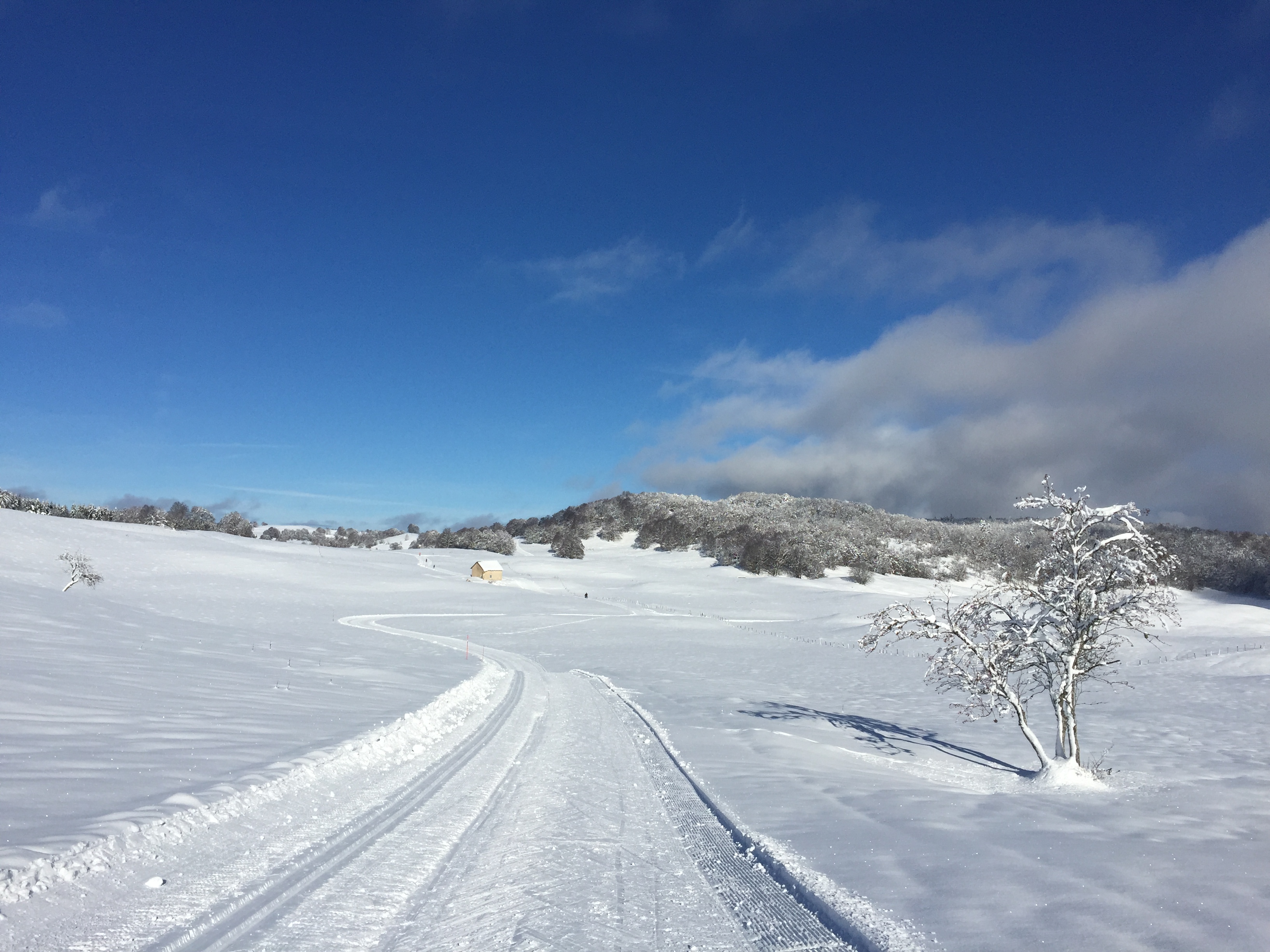Piste verte de ski de fond du Plateau de Retord : La Vezeronce