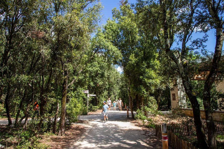 Au coeur d'un parc boisé de 15 hectares