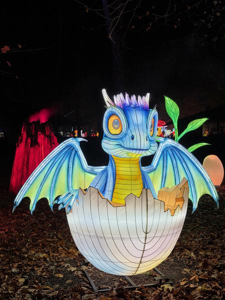 Petit dragon qui sort d'un oeuf 