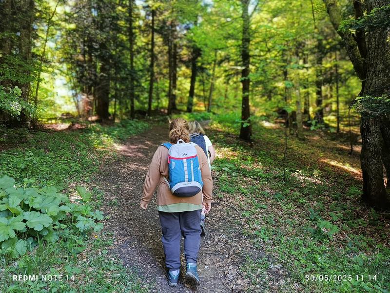 Bain de forêt en Bugey