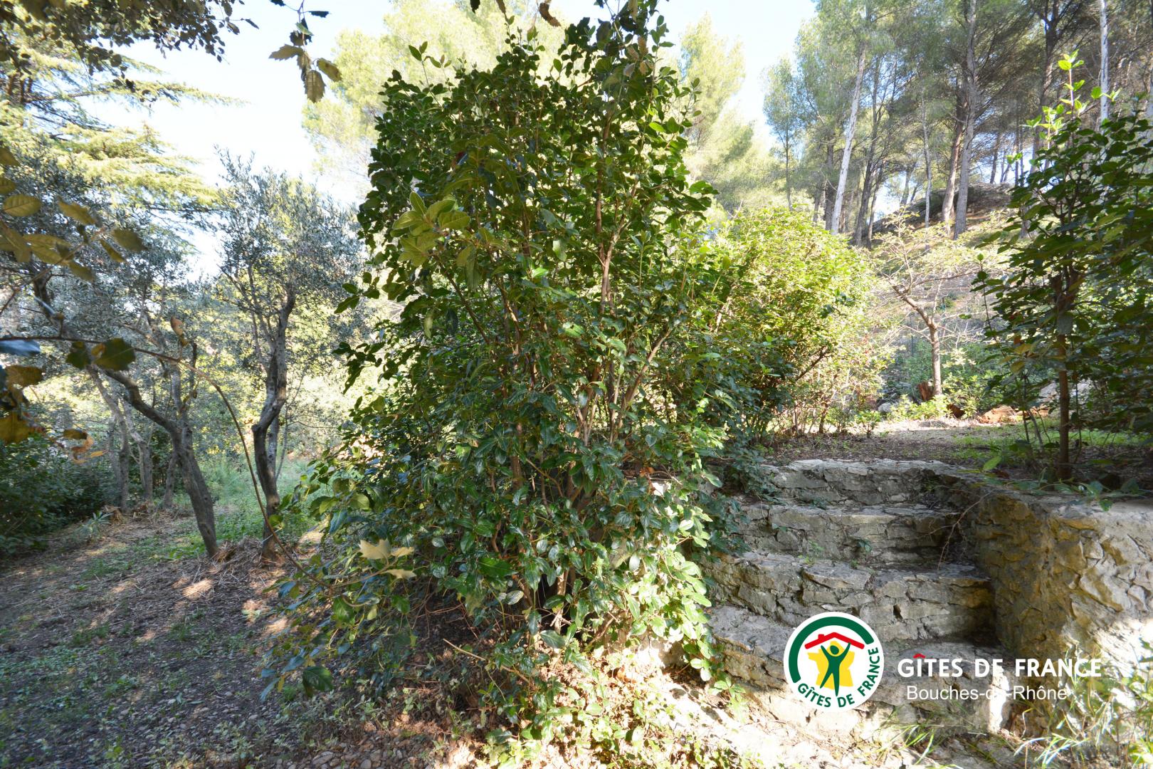 Les Romarins, Châteaurenard - photo 32