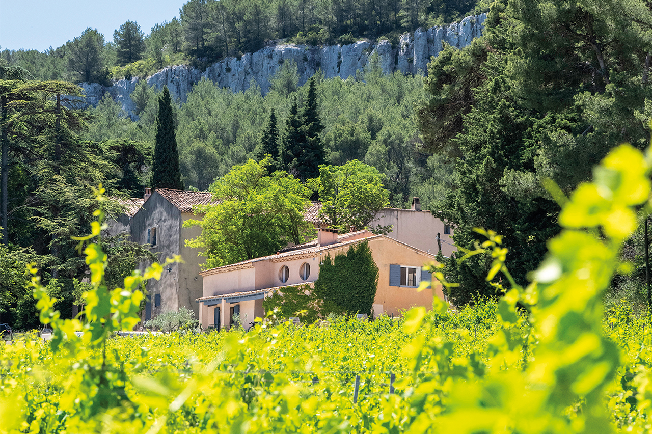 Château Barbanau - photo 5