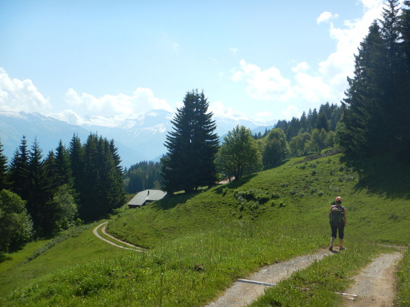 Lété au plateau d'Agy