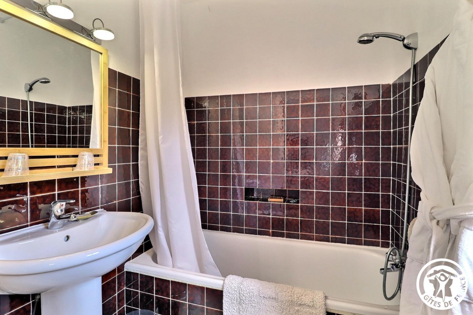 La Feuillère, Saint-Antonin-sur-Bayon - photo 23