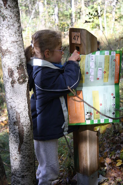 Course d'orientation