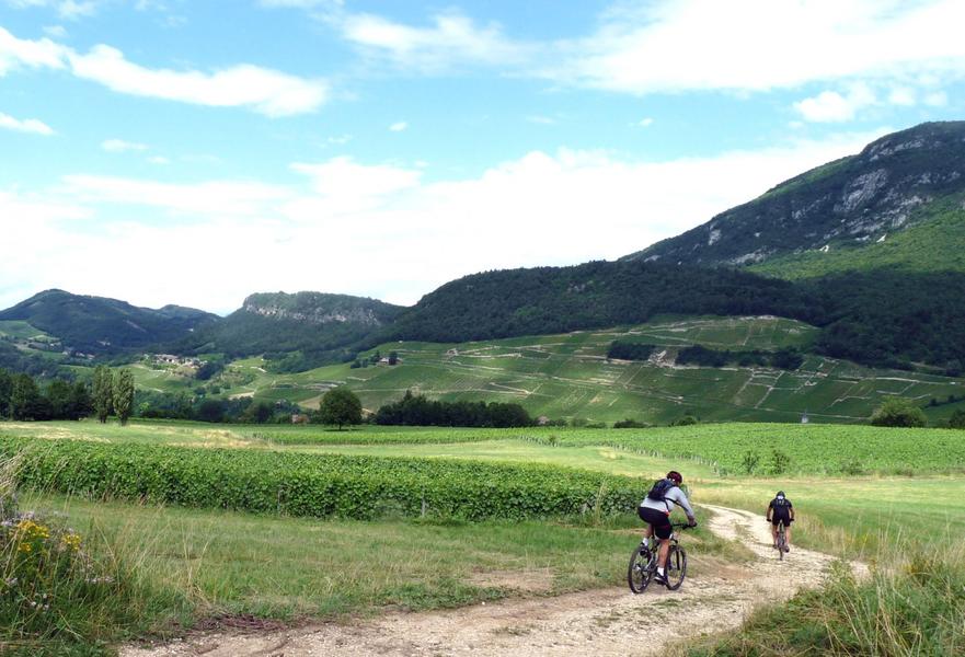 Circuit St Romain - n°14