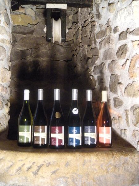 Blacé, vins du Domaine de la Cote de Berne