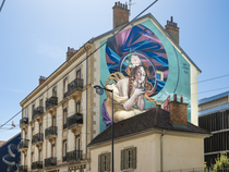 Le Street art dans le quartier Berriat-Saint-Bruno_Grenoble