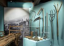 Visite guidée de l'exposition Alpins, 7000 ans d'histoire avec Olivier Cogne_Gr…