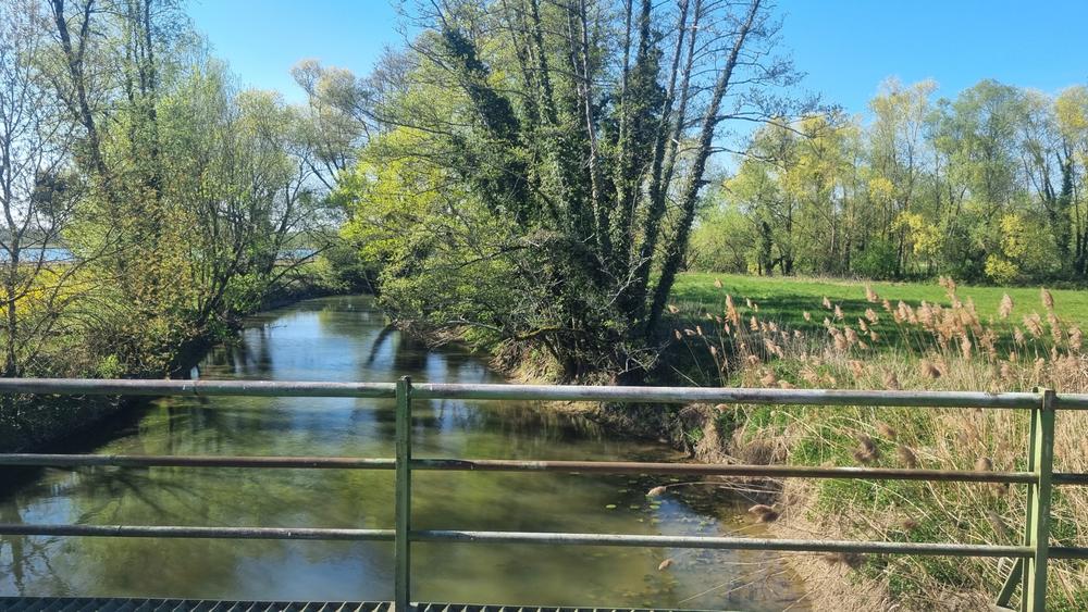 Circuit VTT-VTC n°11 (bleu) - Prairie de Jayat - Chartreuse de Montmerle_Malafretaz