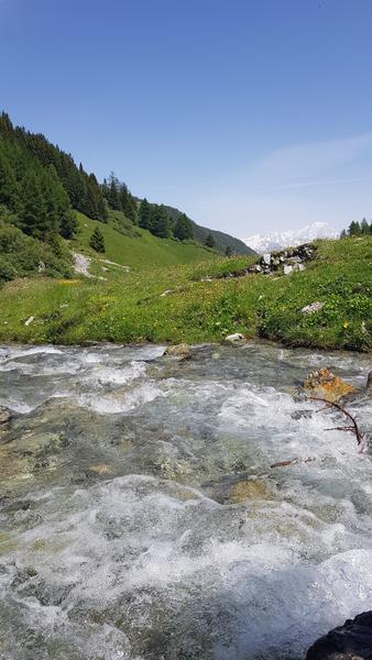Table de pique nique