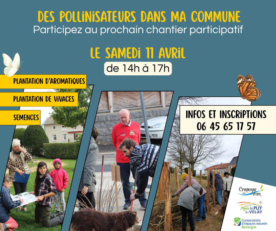 Chantier de plantation participatif