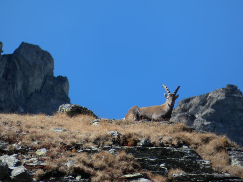Les rando du Lavvu à La Norma