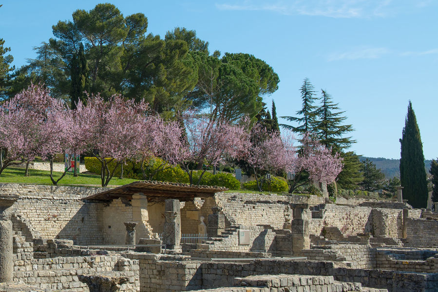 Vaison-la-Romaine