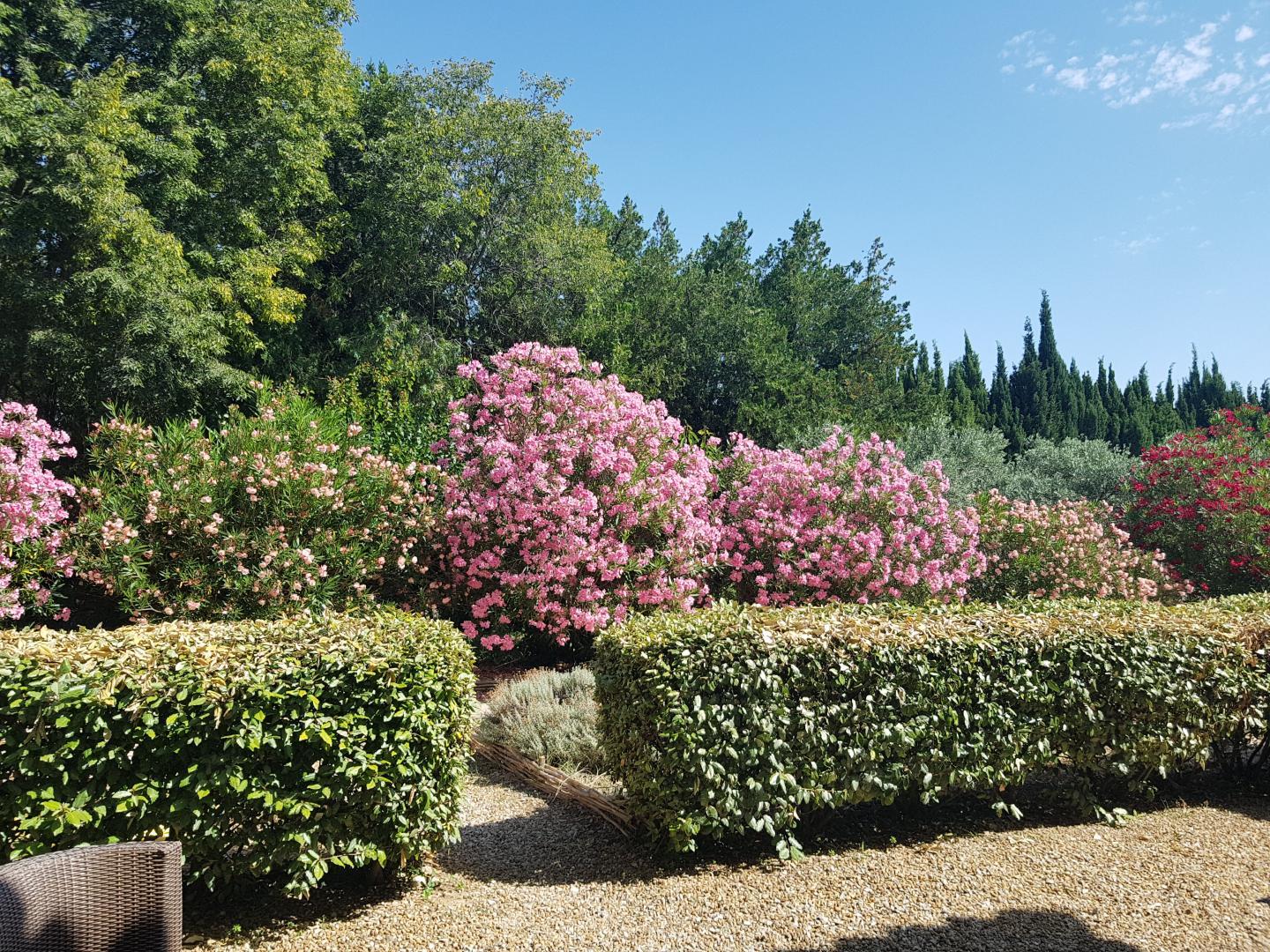 Mas des Figues, Saint-Rémy-de-Provence - photo 44