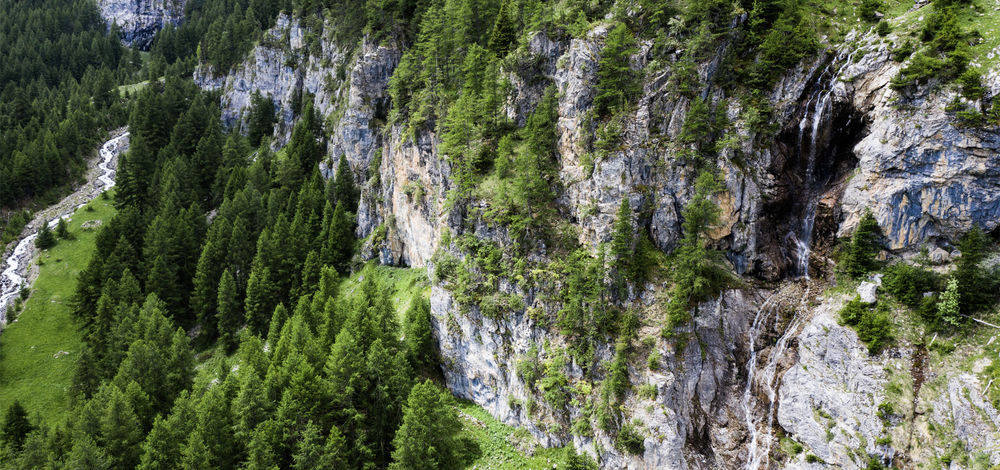 Les sources de Jérusalem