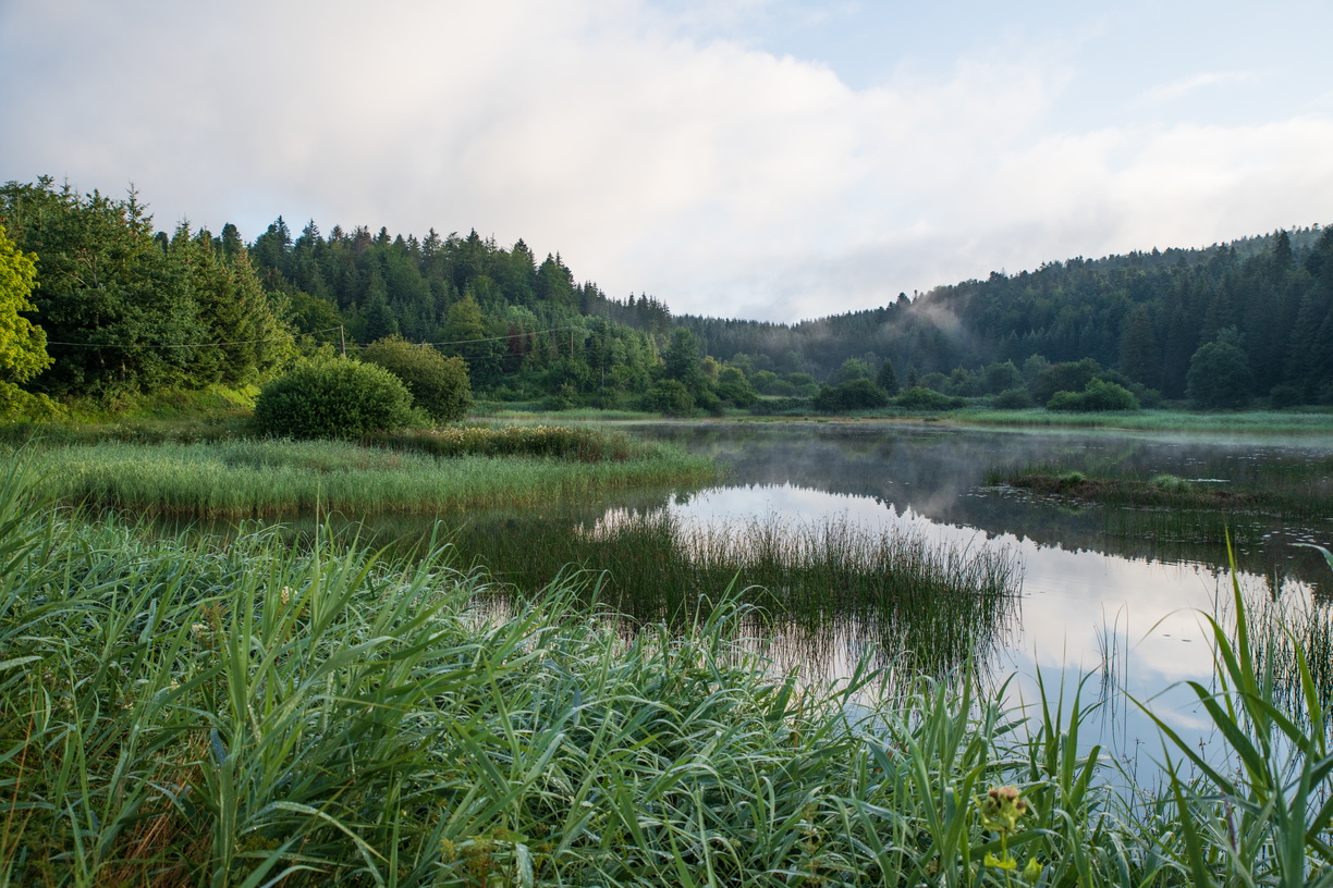 photosFeed-https://static.apidae-tourisme.com/filestore/objets-touristiques/images/183/68/21120183.jpg