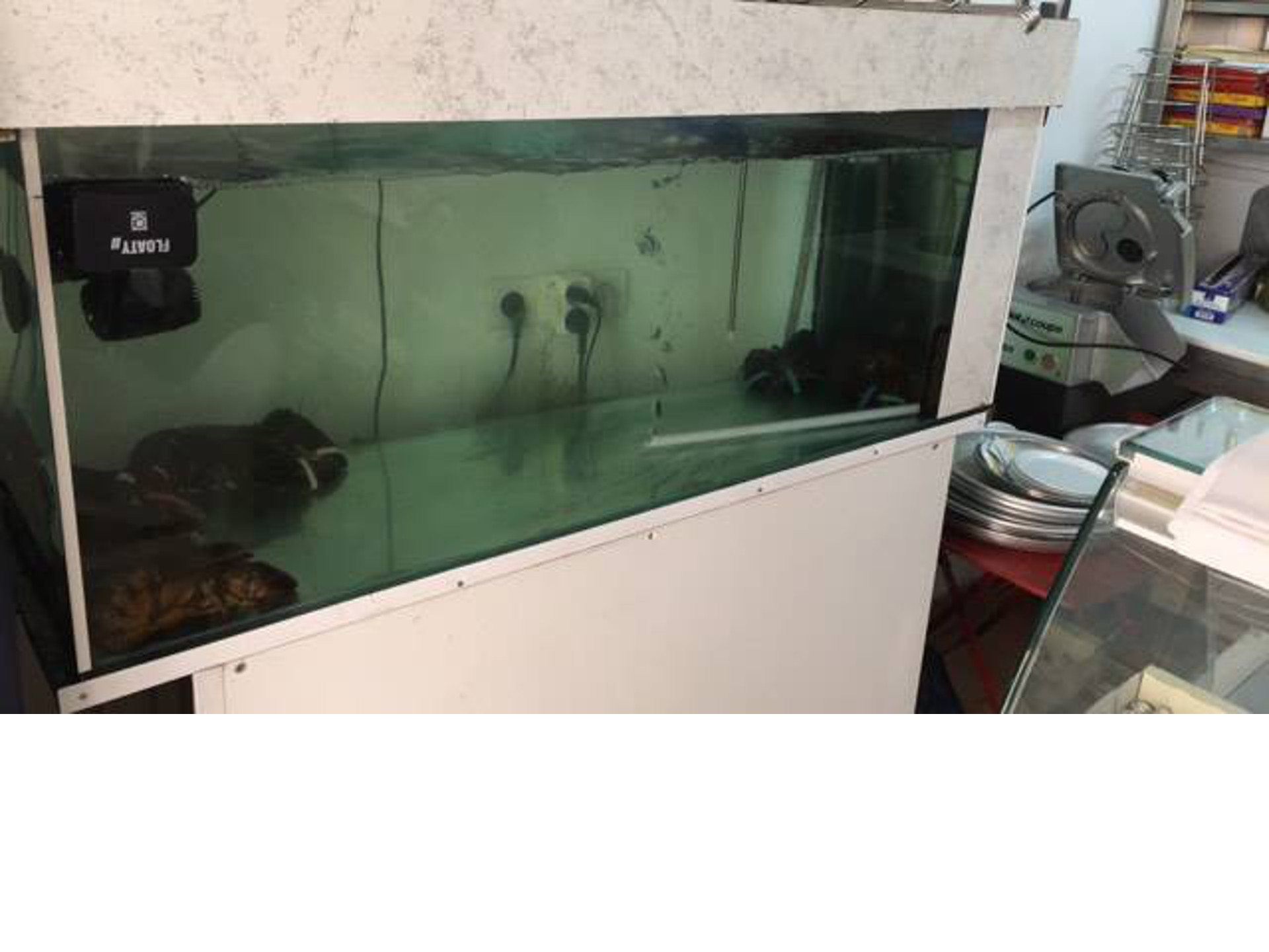 Le Bonaparte - photo 5