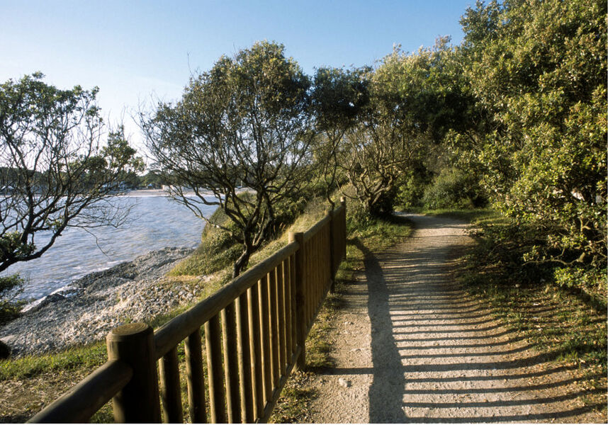 Sentier Des Douaniers Vaux Sur Mer