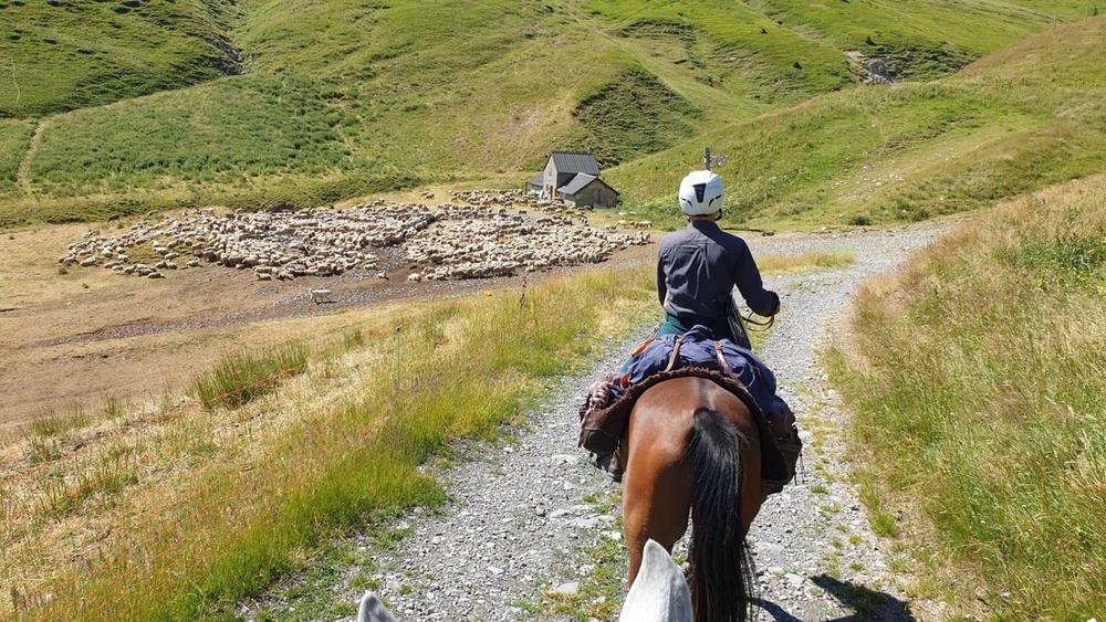 Chambres d'hôtes de la Ferme de Jonan_Saint-Honoré
