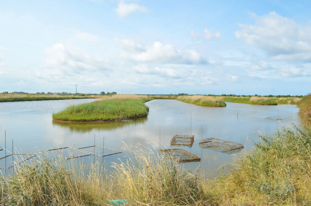 Mattes de Paladon : Paysages d'Hier, d'Aujourd'hui et de Demain (sur Réservation)