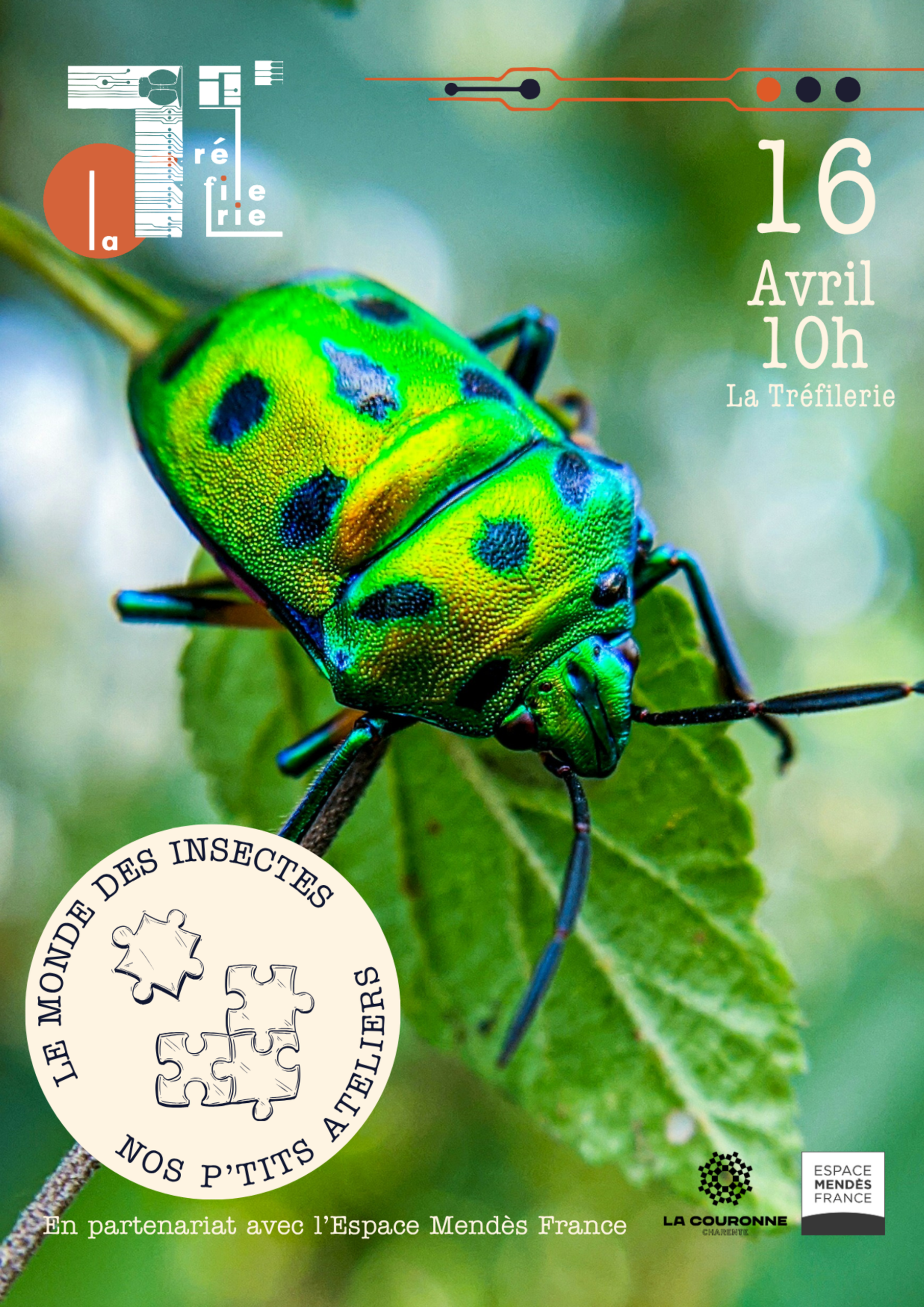 Nos p'tits ateliers - Le monde des insectes