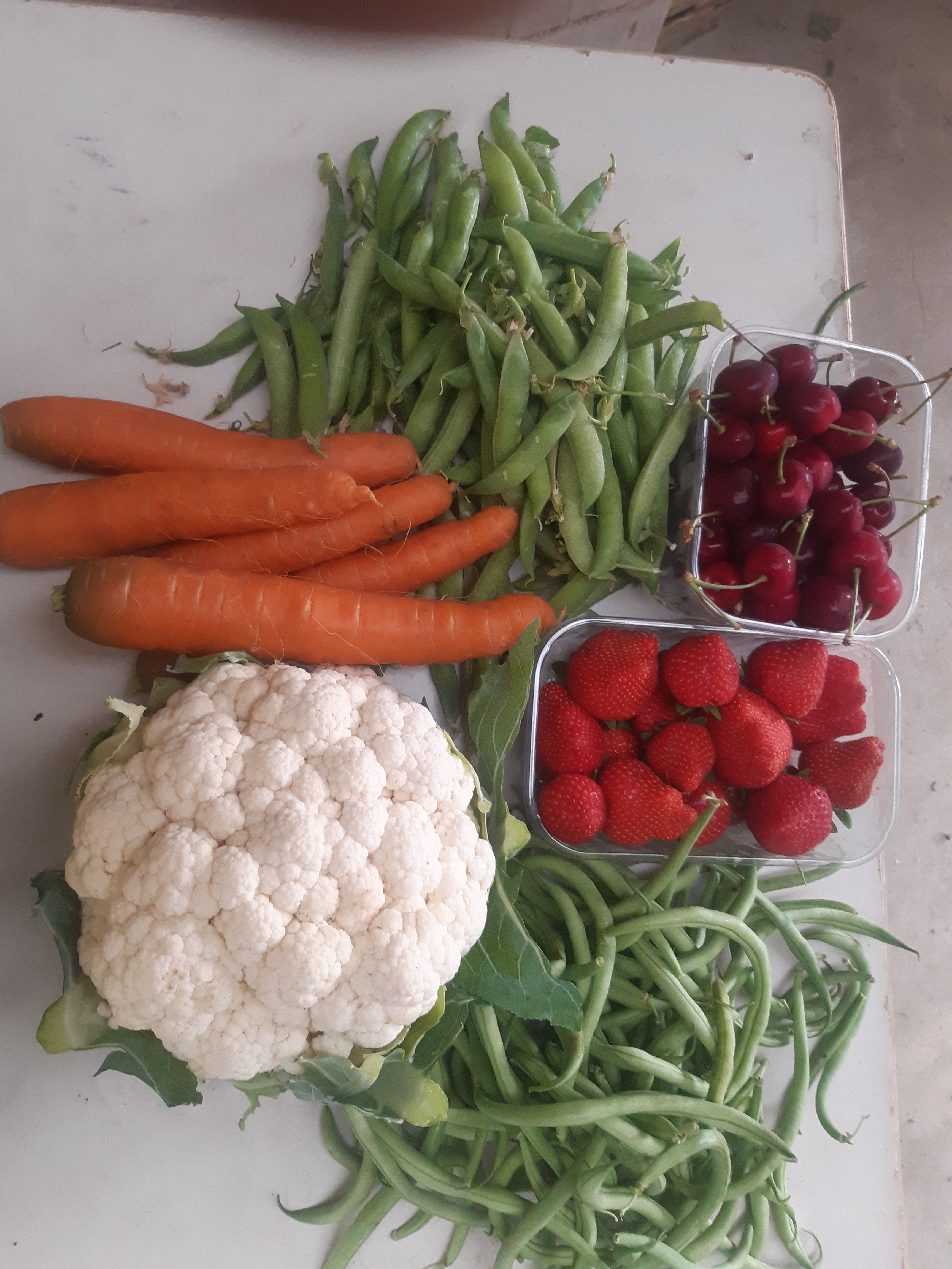 Principaux fruits et légumes