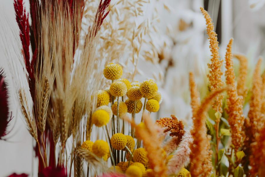 Atelier Création Florale à Mison : tableau fleurs séchées